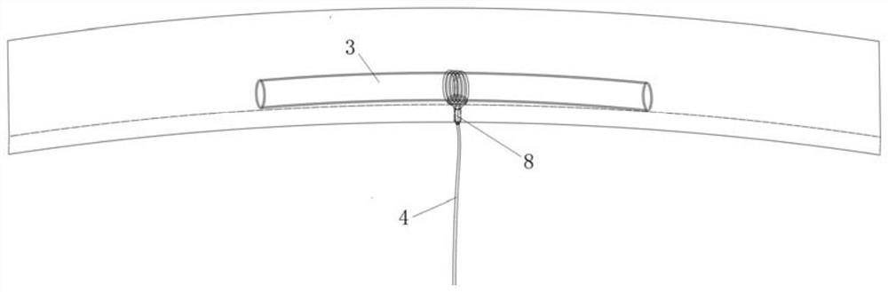 Mitral valve repair device with protection structure