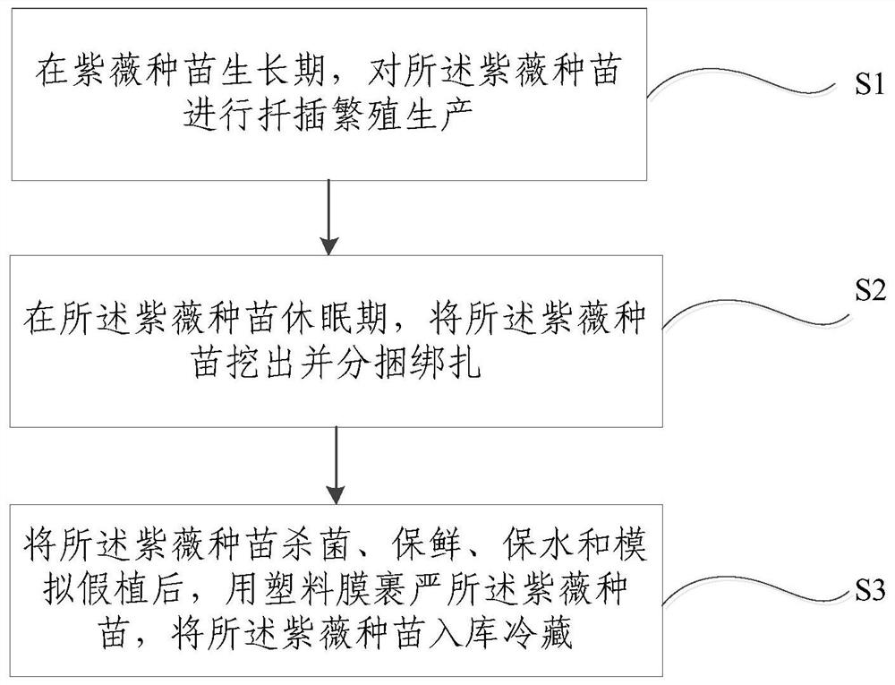 A kind of crape myrtle seedling cold storage and high temperature season planting method