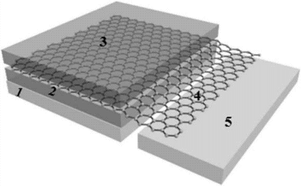 Self-driven photoelectric detector based on graphene electrode and perovskite light absorption layer and preparation method thereof