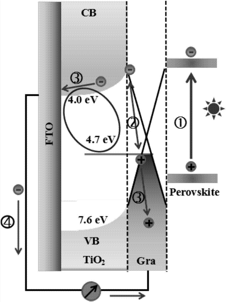 Self-driven photoelectric detector based on graphene electrode and perovskite light absorption layer and preparation method thereof