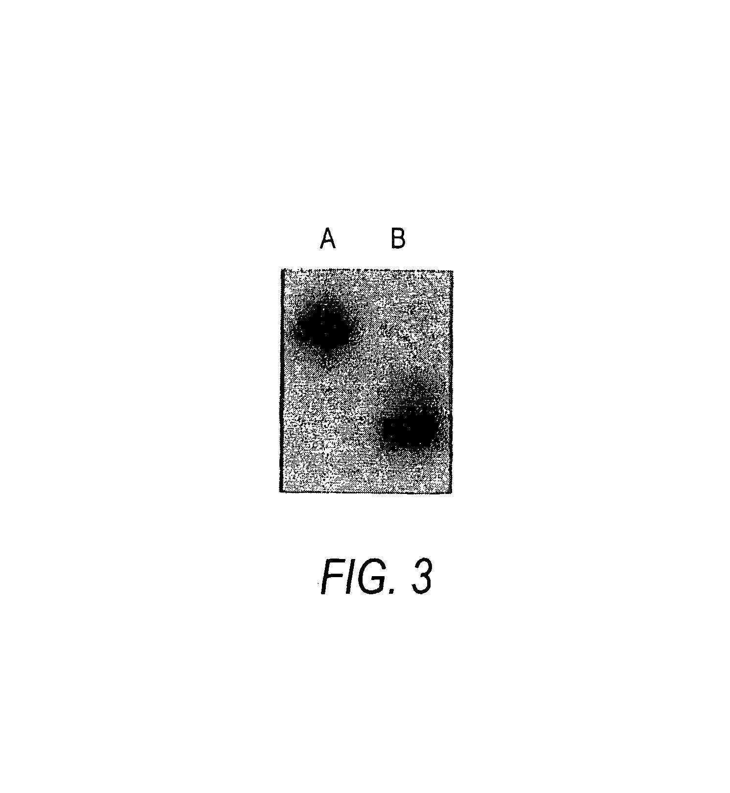 Nucleic acid amplification methods