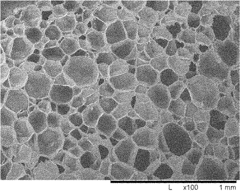 Method for preparing controlled degradable polypropylene foamed particles