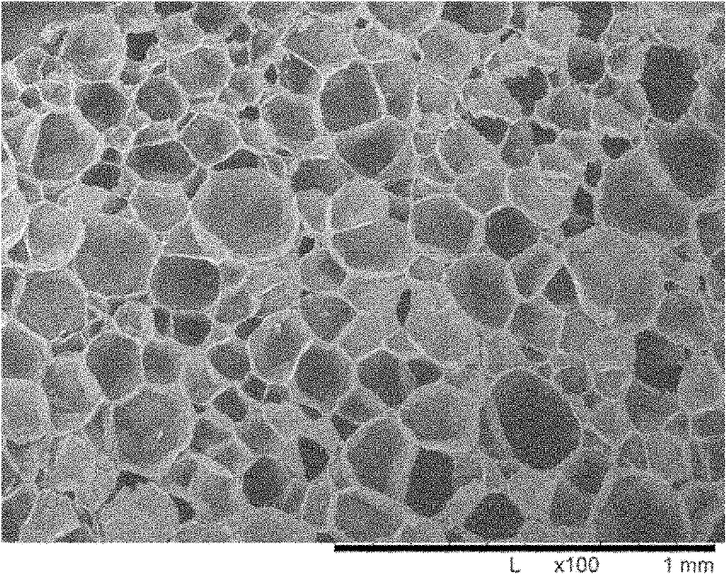 Method for preparing controlled degradable polypropylene foamed particles