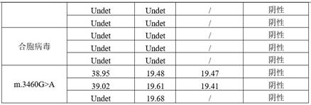 Primer pair probe combination product and its kit and detection method for detecting mitochondrial 3243a&gt;g mutation