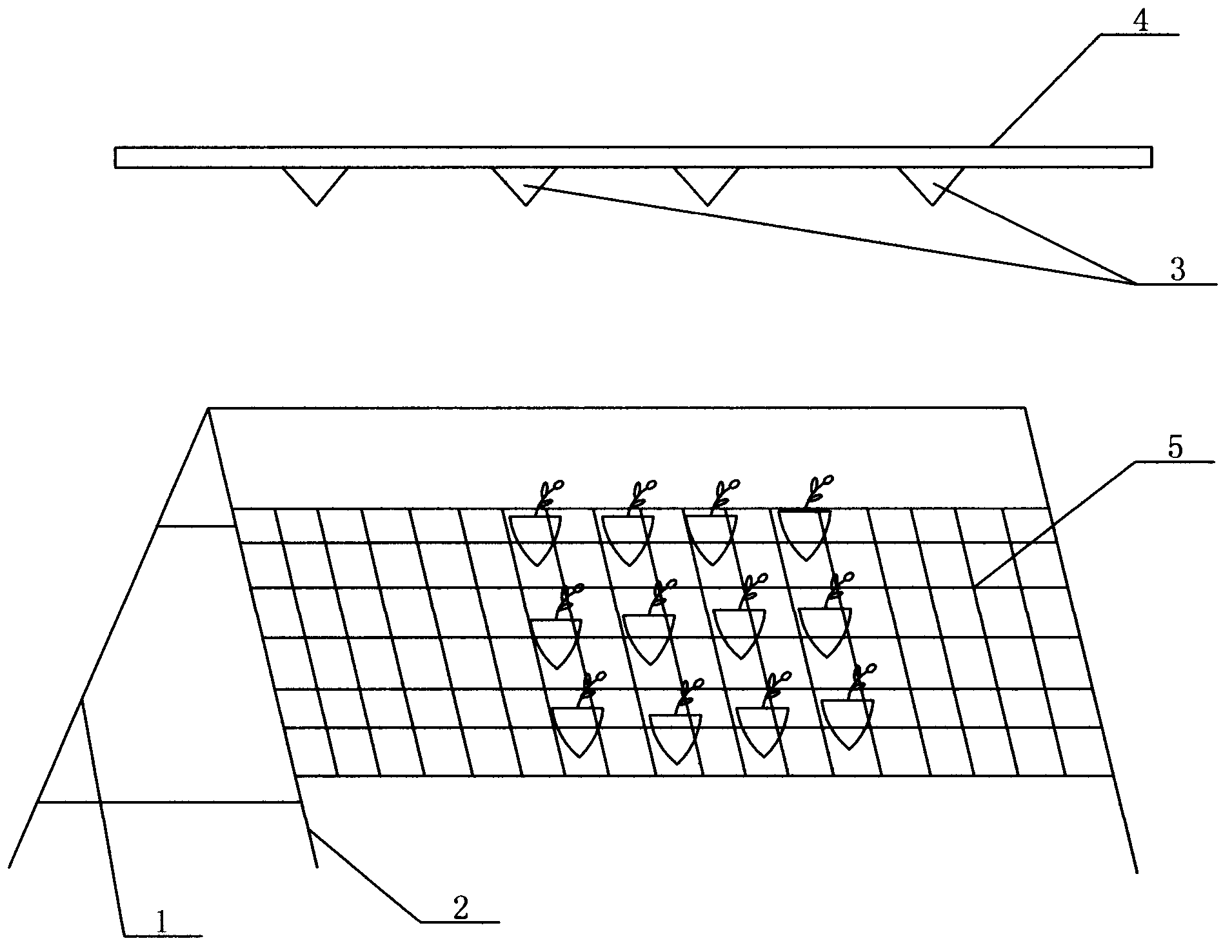 Method for cultivating and planting stereoscopic dendrobium