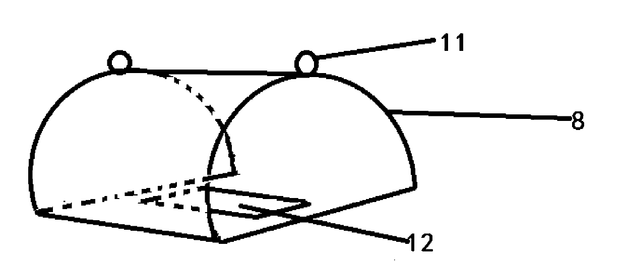 Micro-needle roller device