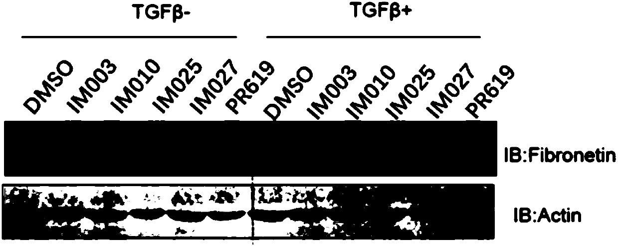 Hydroxy substituted tetrahydro-beta-carboline small-molecular organic compounds, as well as derivatives and medical application thereof