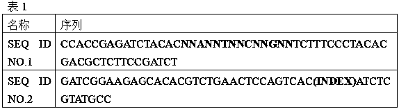 Detection method for low-frequency mutation of circulating tumor DNA