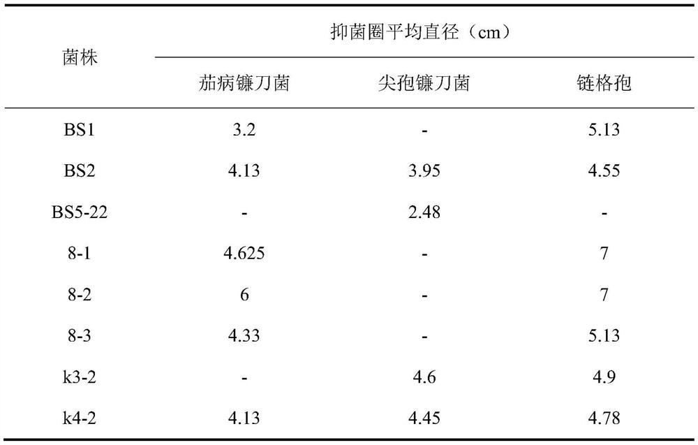 A strain of Bacillus amyloliquefaciens and its role in disease resistance and growth promotion of Pinellia chinensis