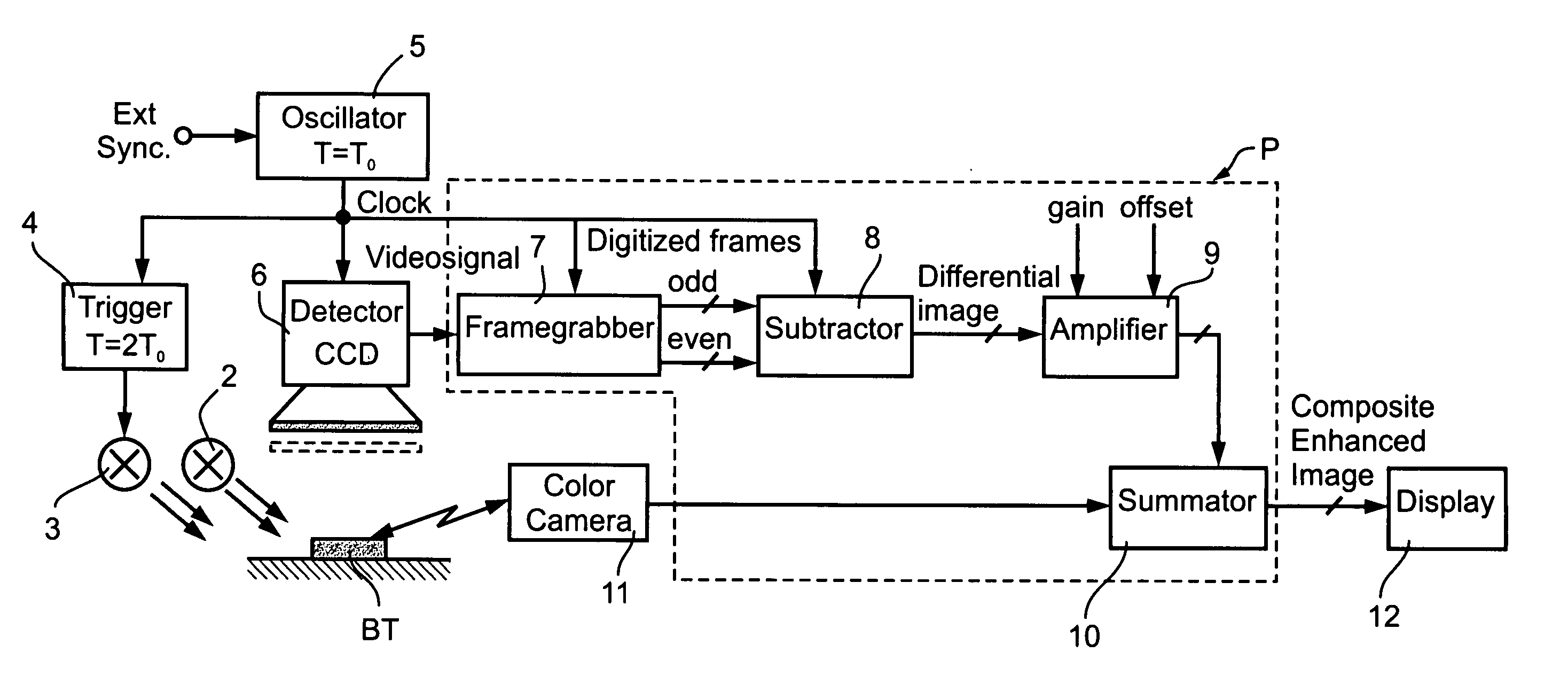 Optical examination method and apparatus particularly useful for real-time discrimination of tumors from normal tissues during surgery