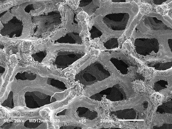 Preparation method for bionic super-hydrophobic film taking copper foam as substrate and application thereof