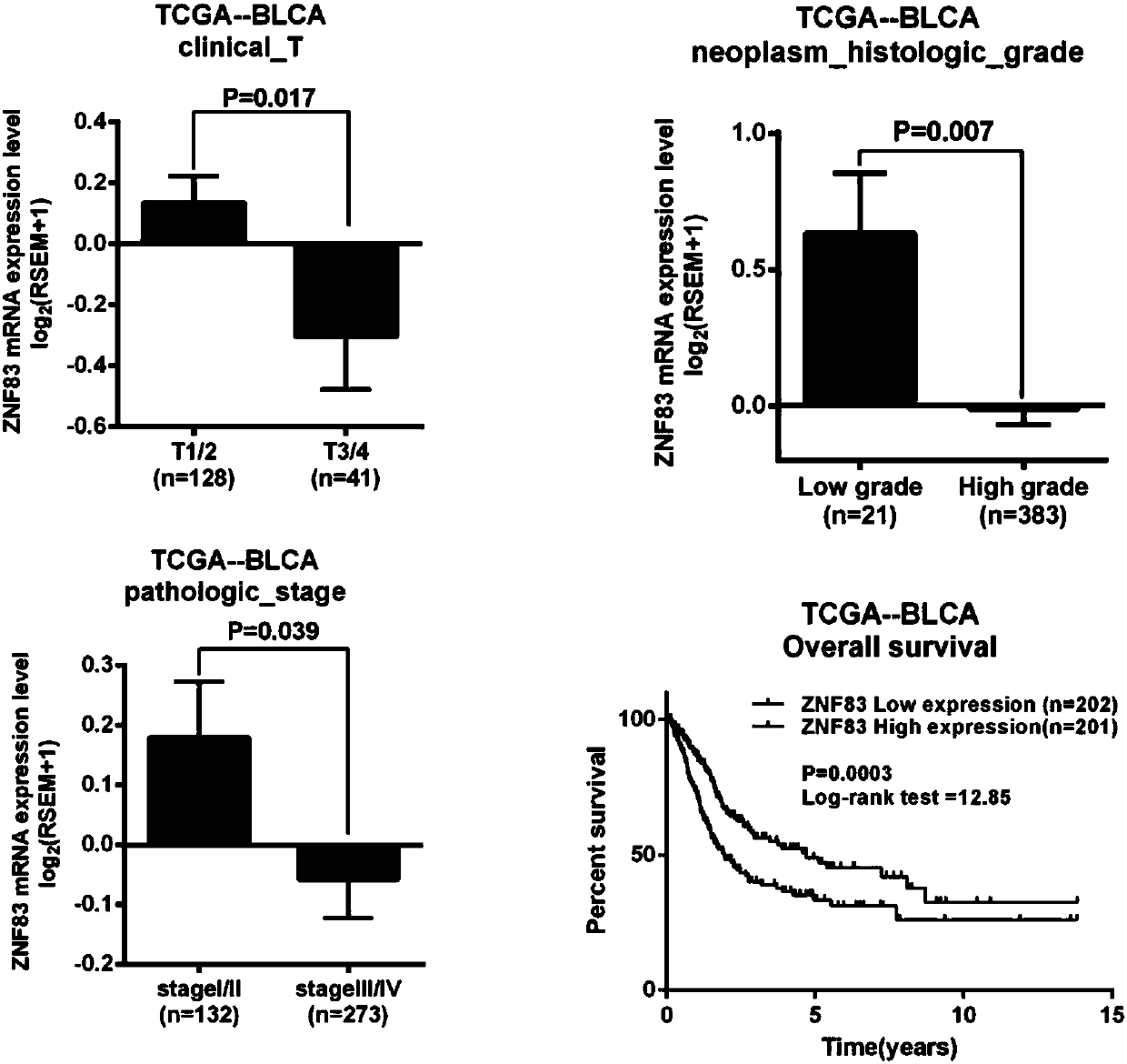 Genetic marker related to human bladder cancer, and detection method and application thereof