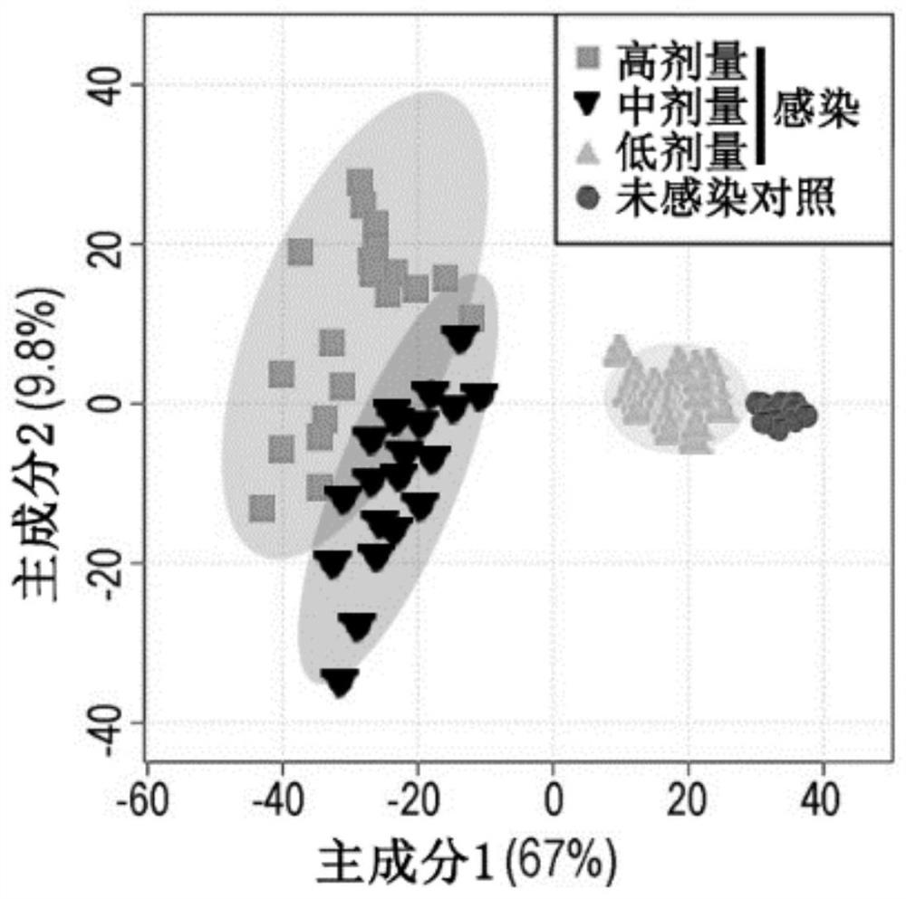 Use of small molecule compound in improving ability of host to remove pathogenic bacteria and preparing drugs resistant to pathogenic bacteria infection