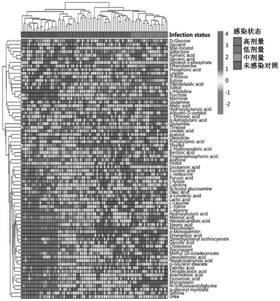 Use of small molecule compound in improving ability of host to remove pathogenic bacteria and preparing drugs resistant to pathogenic bacteria infection