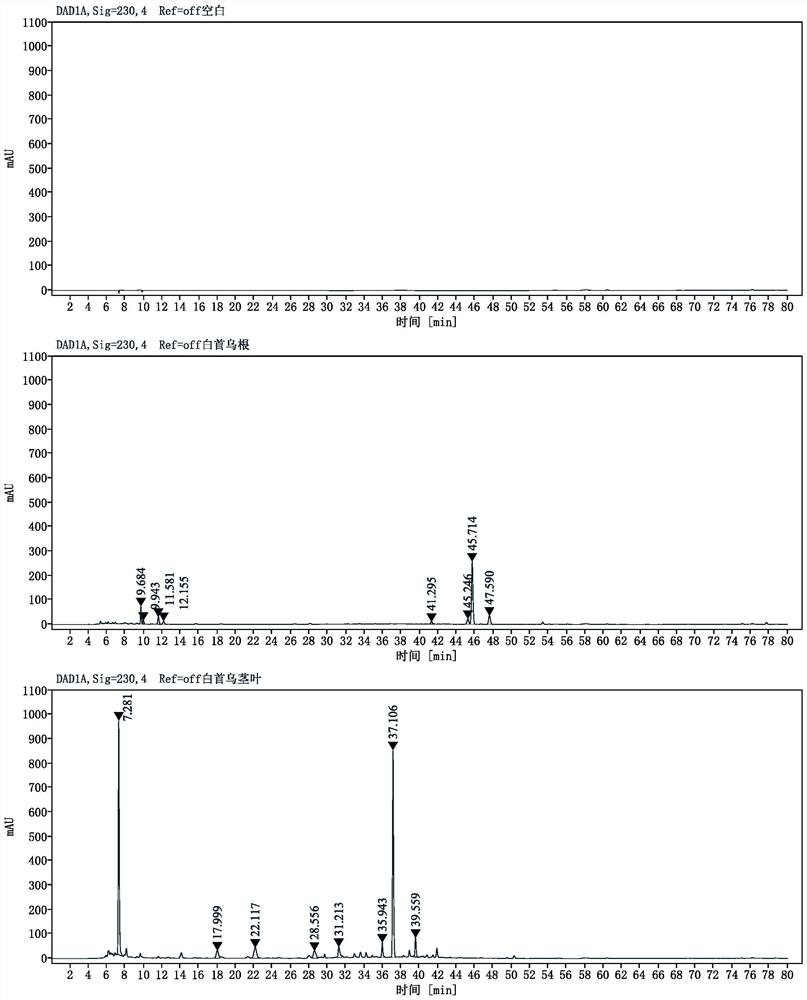 Radix cynanchi bungei extract and application thereof