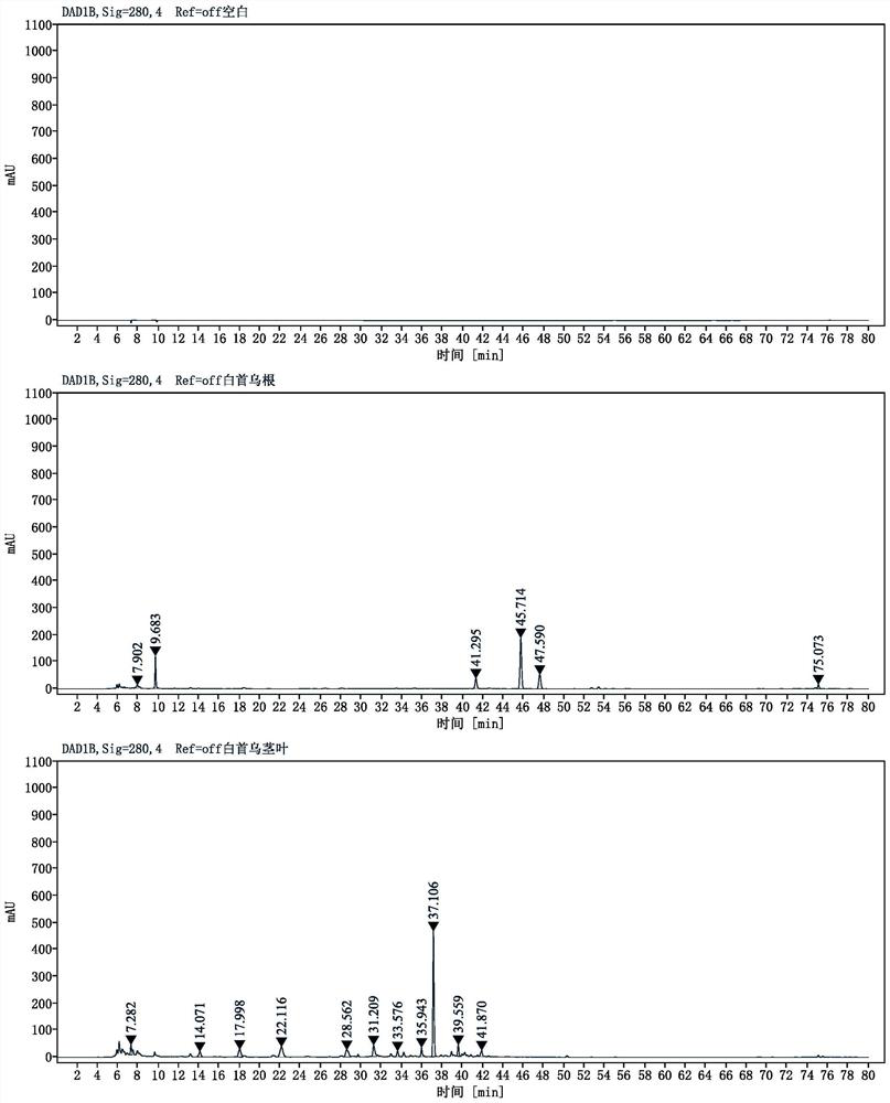 Radix cynanchi bungei extract and application thereof