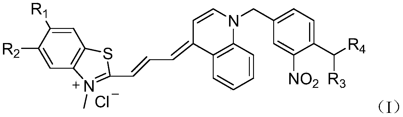 Asymmetric cyanine dye compound and application thereof