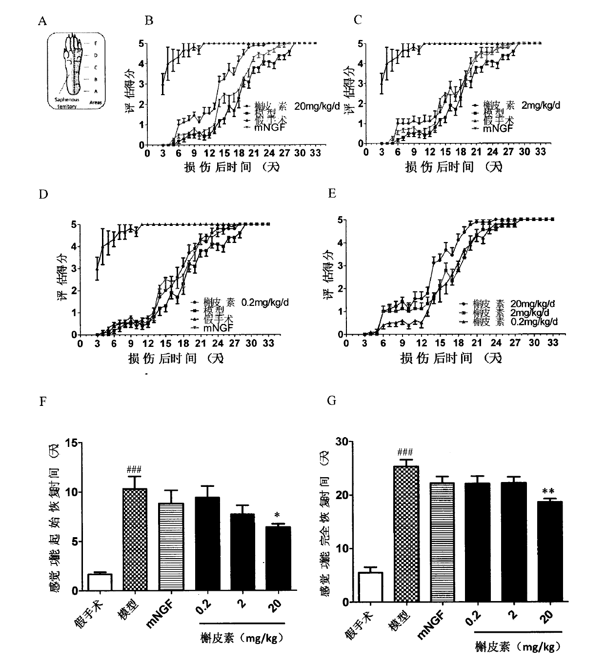 Application of quercetin in preparation of peripheral nerve injury treatment drugs