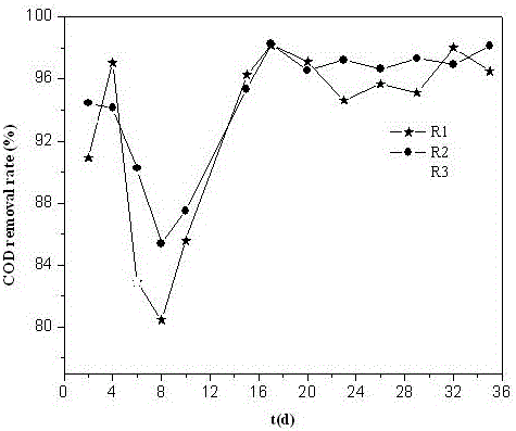 Nitrification aerobic granular sludge culture method and application