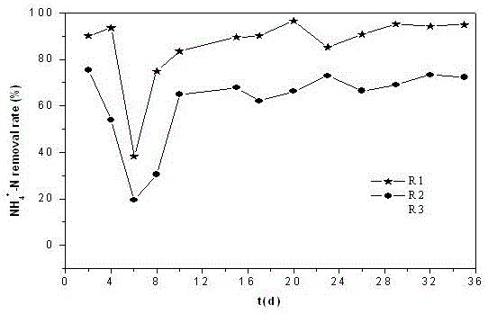 Nitrification aerobic granular sludge culture method and application