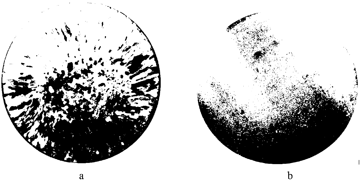 Method for realizing fine crystal solidification by controlling spherical crystal stabilization