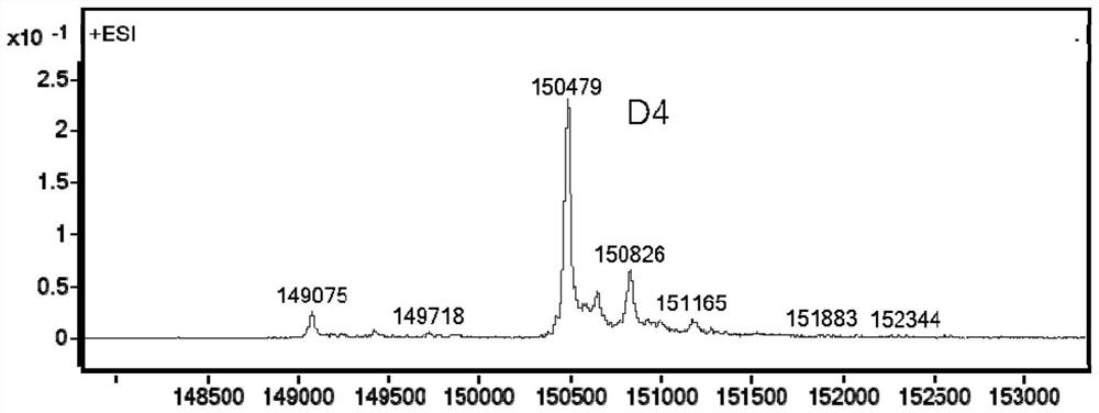 Antibody-drug conjugates targeting TF and their preparation and use