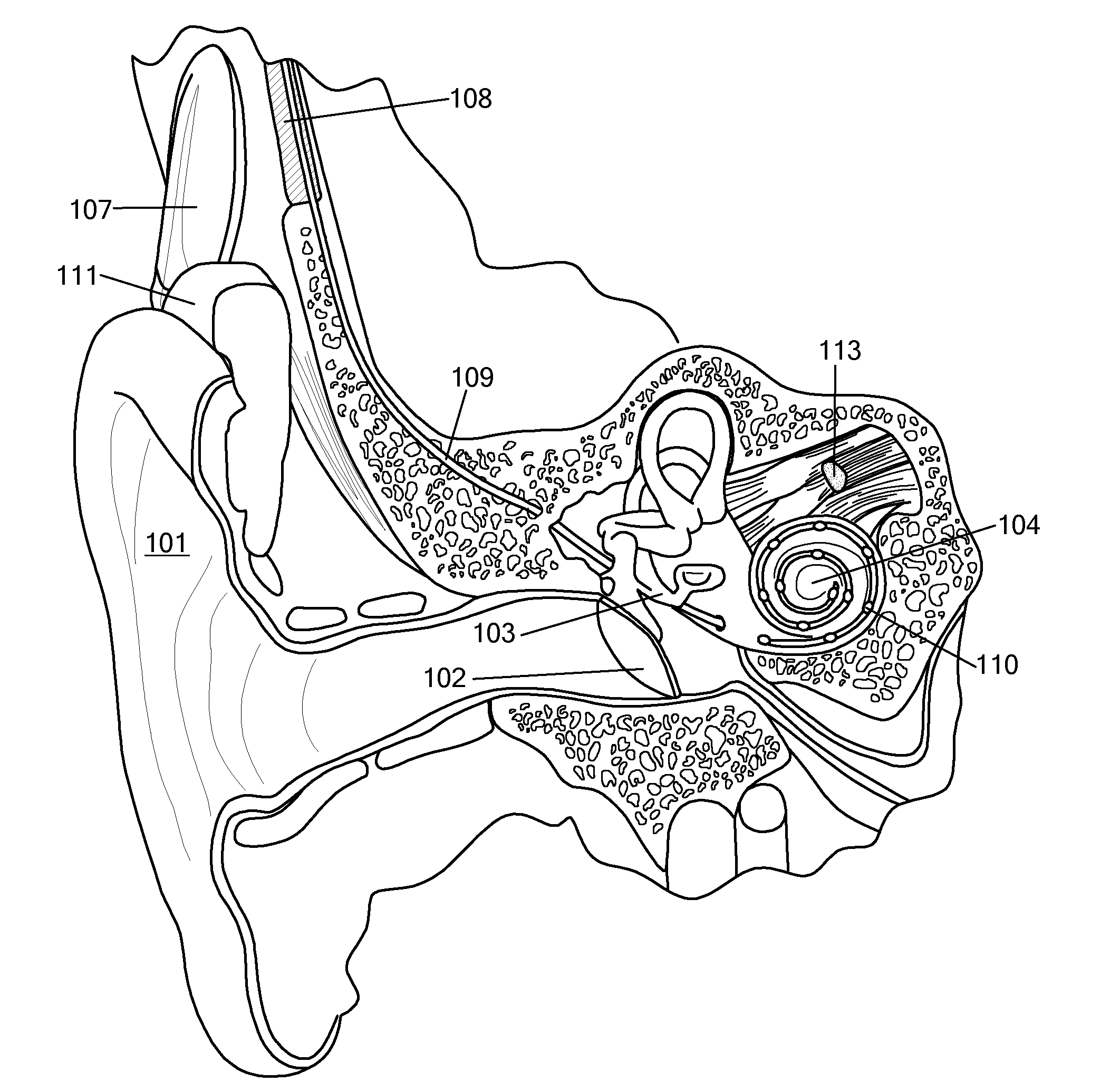 Inductive Signal and Energy Transfer through the External Auditory Canal