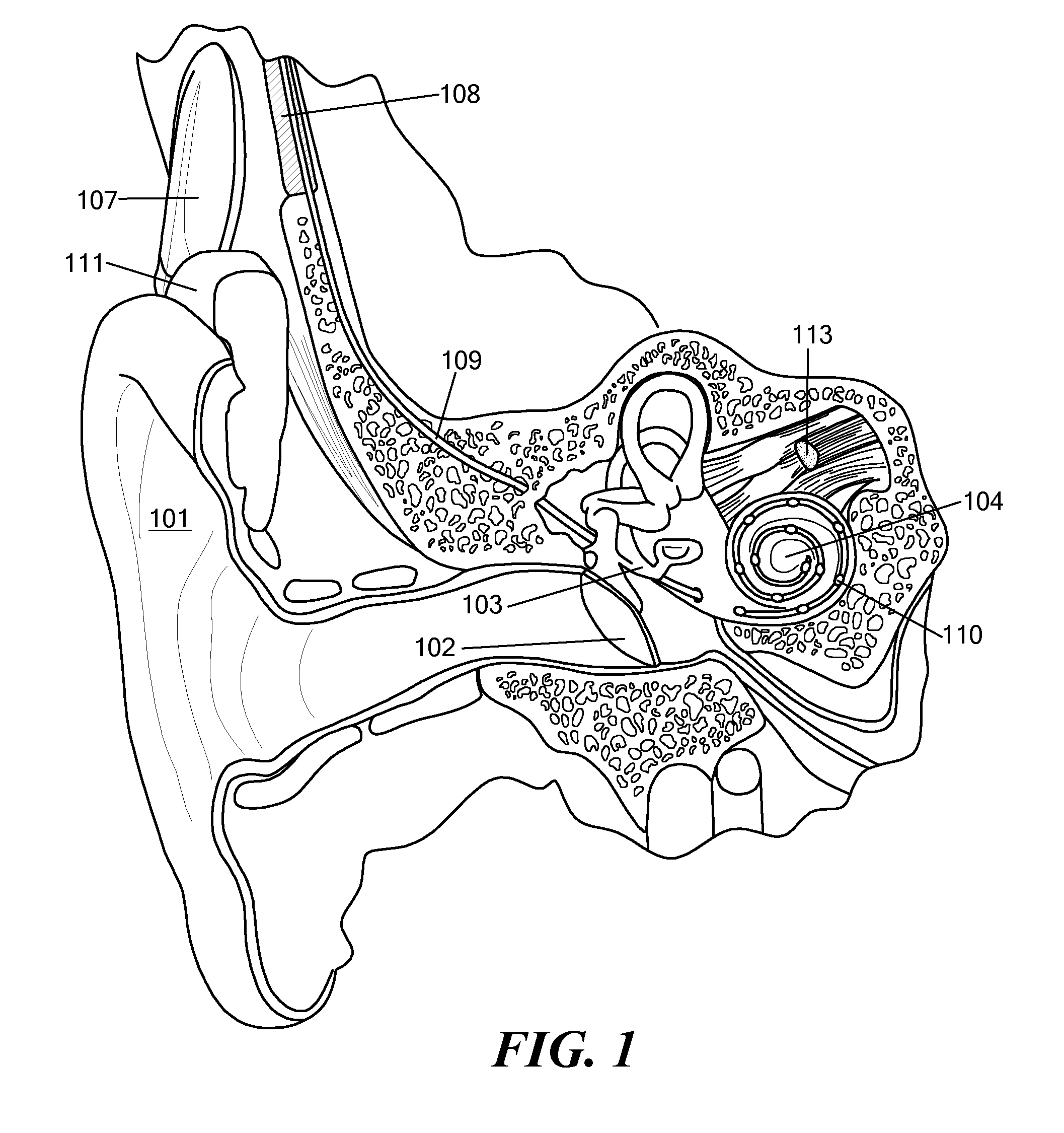 Inductive Signal and Energy Transfer through the External Auditory Canal