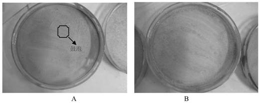 A self-curing anti-corrosion protective agent suitable for marine atmospheric environment and its preparation and application