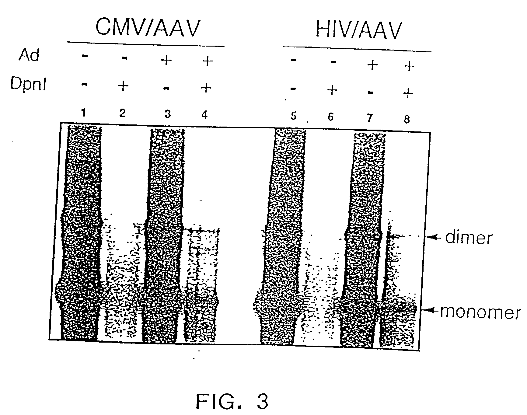 Methods for increasing the efficiency of recombinant AAV product