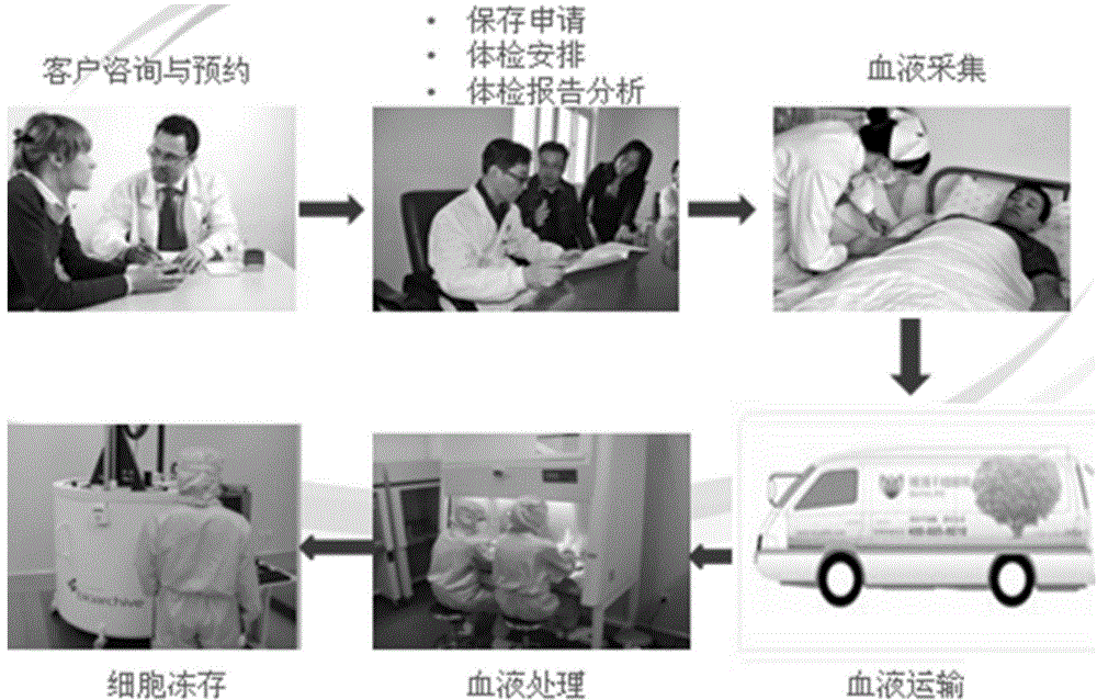 Method of automatically extracting immune cells in APB (Adult Peripheral Blood)