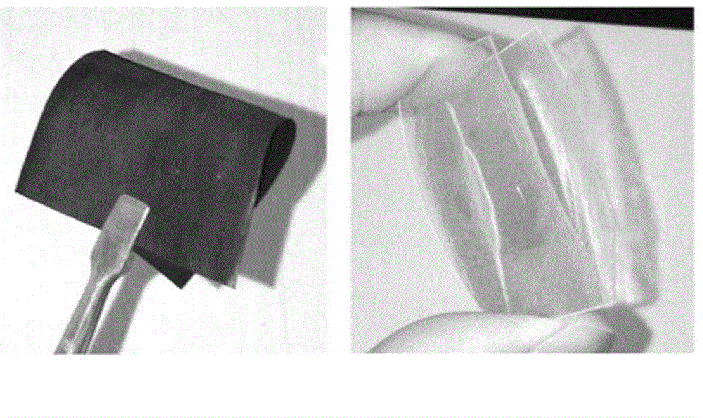 Graphene/epoxy resin composite anticorrosive paint with high isolation and preparation method