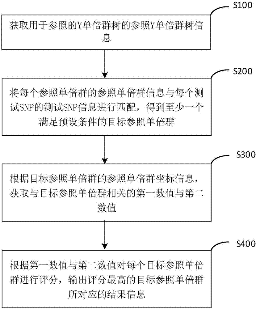 Y haplogroup detection method