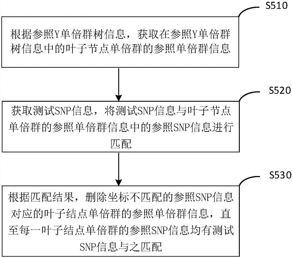 Y haplogroup detection method