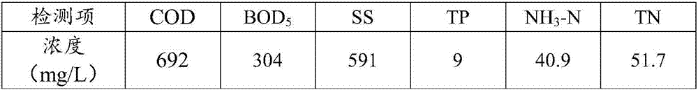 Microbial agent and preparation method thereof as well as application of microbial agent to wastewater treatment