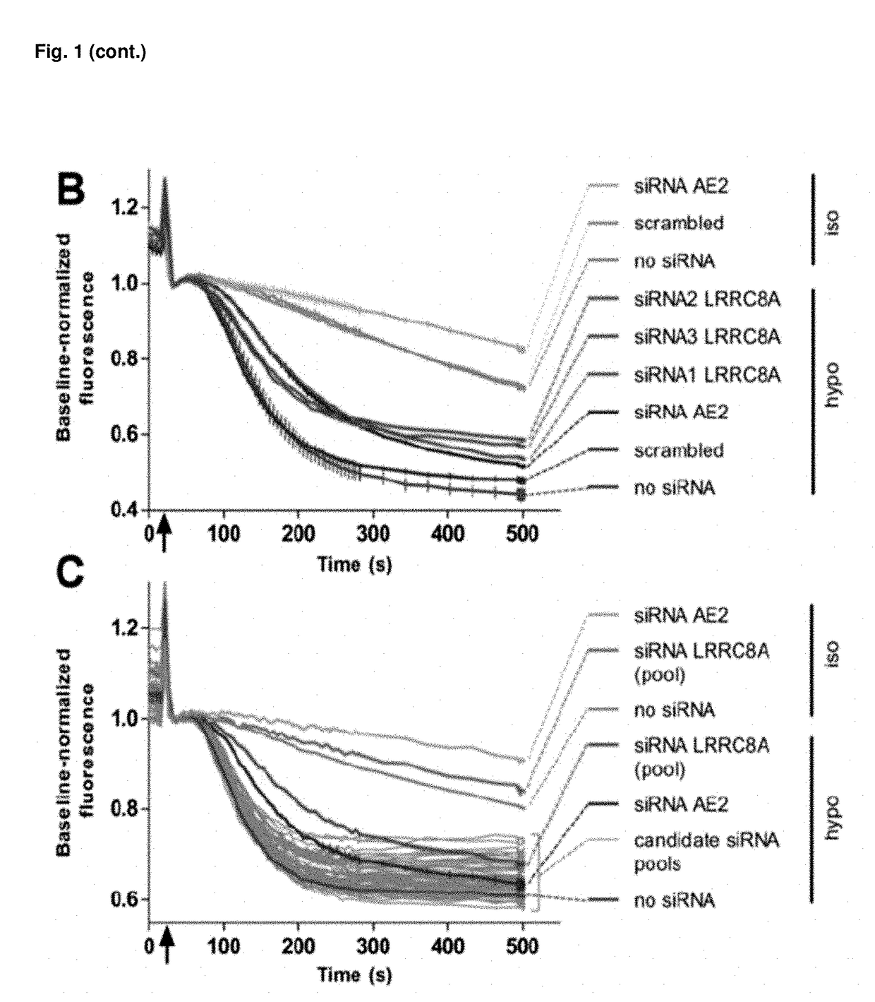 LRRC8 proteins and protein complexes and methods for identification of channel modulators