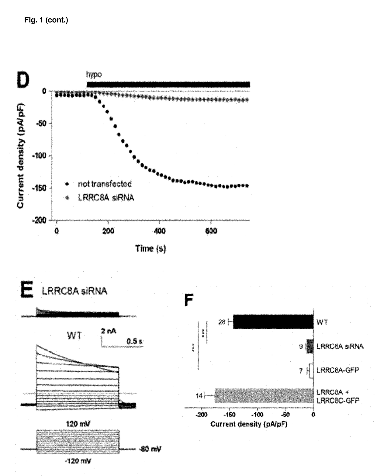 LRRC8 proteins and protein complexes and methods for identification of channel modulators