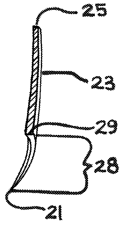 Method for supporting healthy long nail growth and mechanism of nail reinforcement