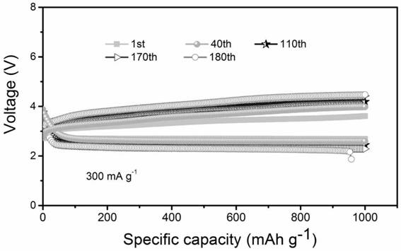 Alkali metal negative electrode composite protective film and preparation method thereof, alkali metal negative electrode and alkali metal secondary battery