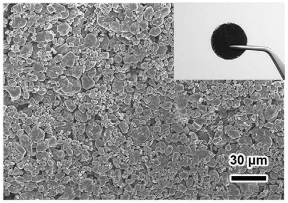 Alkali metal negative electrode composite protective film and preparation method thereof, alkali metal negative electrode and alkali metal secondary battery