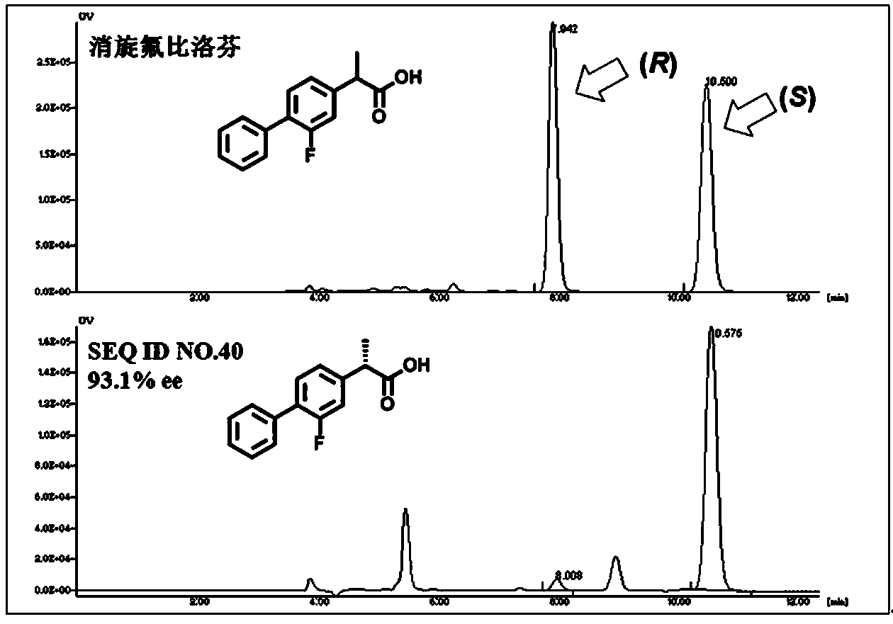 Lipase mutant and uses thereof