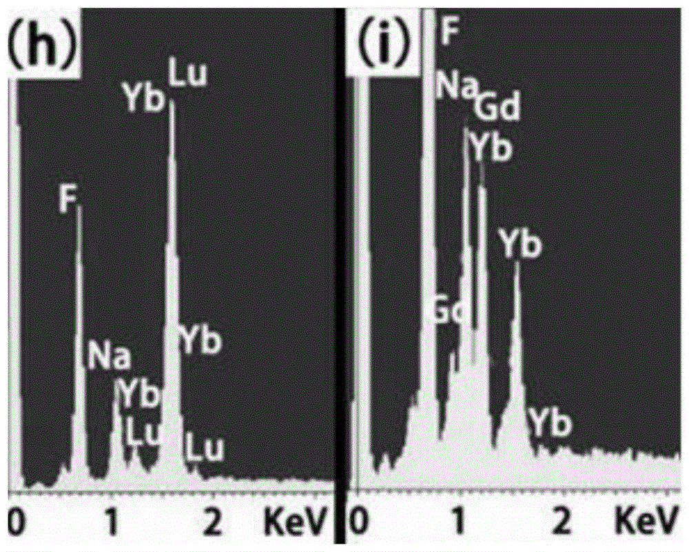 A kind of preparation method of porous rare earth doped up-conversion nanomaterial