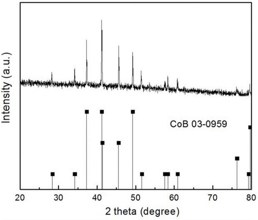 Sheet-like porous CoB powder and preparation method thereof