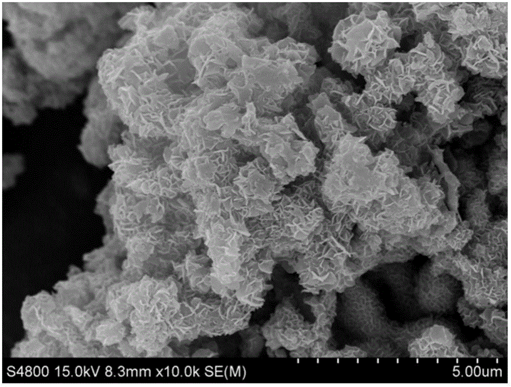 Sheet-like porous CoB powder and preparation method thereof