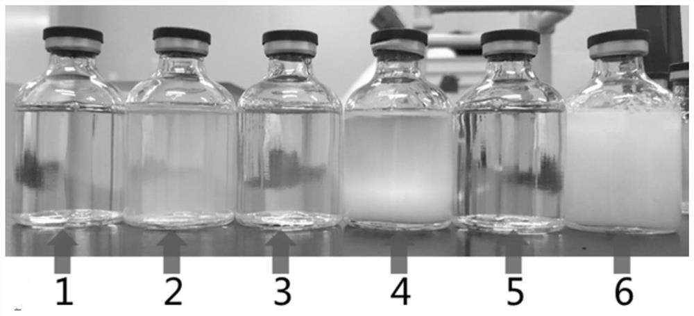 Globulin pasteurization process using combined protective agent