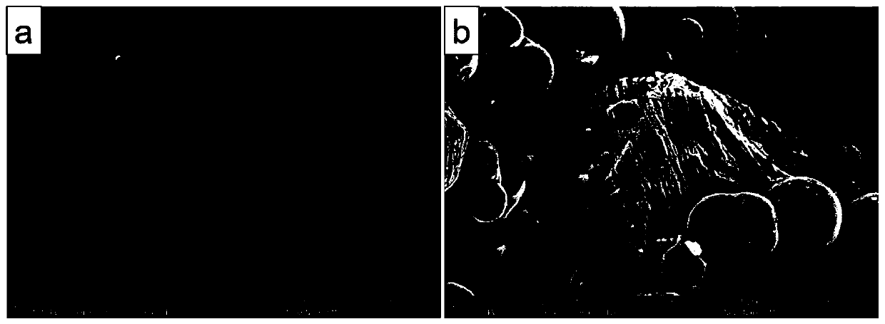 Preparation method and use method of two-dimensional sheet layer material modified MXene/TiO2 composite material