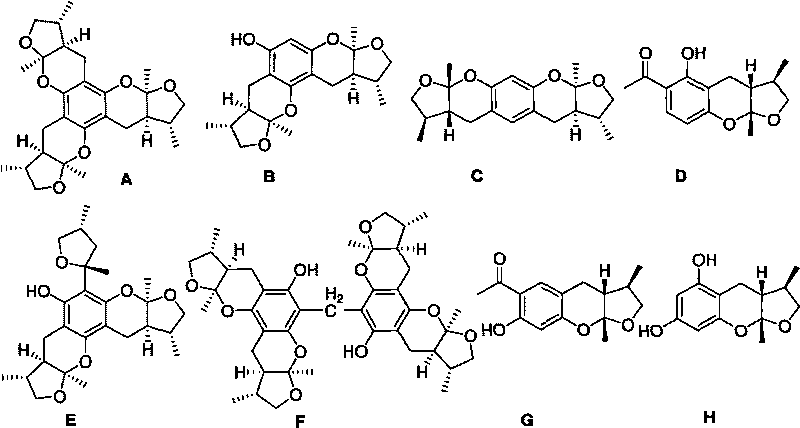 Synthetic method of Xyloketals compounds