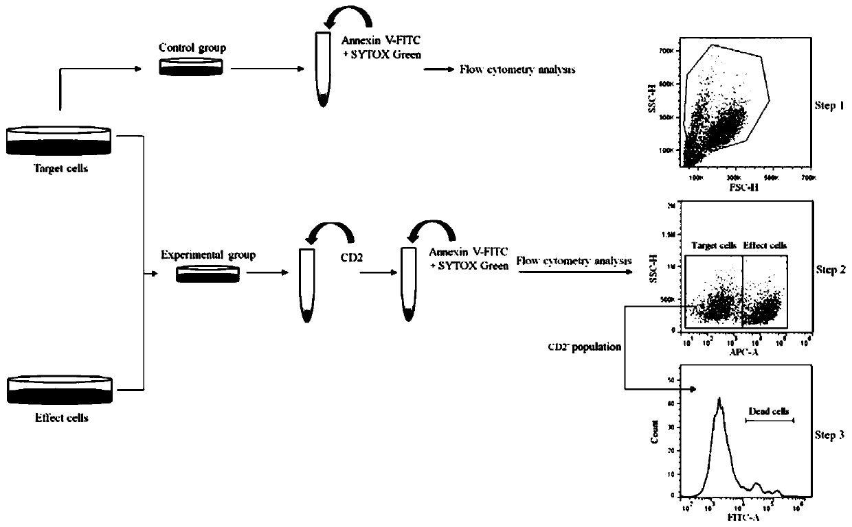 Method for detecting NK cytotoxic index based on flow cytometry