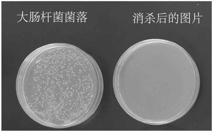 Disinfection method and device for food outer packaging based on combination of jet flow and coating