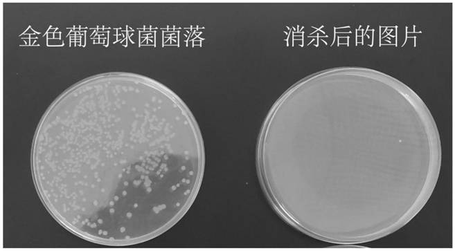 Disinfection method and device for food outer packaging based on combination of jet flow and coating